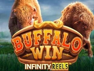 Buffalo Win game icon
